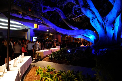 The blue-lit fig tree added great ambiance for the 300+ people celebrating LA Waterkeeper’s Making Waves 20th Anniversary Event at the Fairmont Miramar Hotel and Bungalows in Santa Monica.
